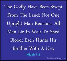 All of the good fruit has been taken away! Micah 7 Holy Bible English Biblewordings Com