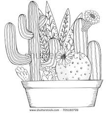 Hand Drawn Set Of Succulents Or Cacti In Pots Doodles Elements Black And White Coloring Book Page For Adul Cactus Illustration Cactus Drawing Flower Drawing