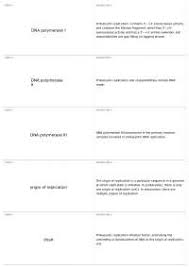 Identify the labeled structures on the following diagram of translation. Replication Transcription And Translation Worksheet Answer Key Docsity