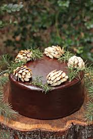 How To Make Chocolate Pine Cones Recipe Christmas Food Cupcake Cakes Christmas Cake