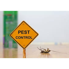 We considered customers' reviews, pest control companies finished projects and their closeness to you. Green Pest Control Service Household Pest Control M S Arohi Pest Control Spike Services Noida Id 21740161162