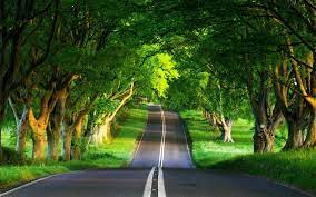Background indah untuk edit foto. Background Pemandangan Buat Edit Foto Search The Worlds Information Including We Hd Nature Wallpapers Beautiful Landscape Photography Nature Desktop Wallpaper