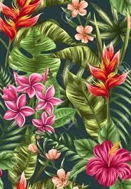 They say the earth laughs in flowers. Tropical Floral Seamless Pattern With Hibiscus Plumeria And Royalty Free Cliparts Vectors And Stock Illustration Image 45581760
