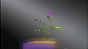 Maybe you would like to learn more about one of these? News Tuesday August 10 2021 3 Pm Est Skopemag Hq
