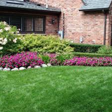 Lexington, ky 40511 cultivating peace of mind at plot, we put your land before everything else. Lawn Care Mowing Lexington Ky Local Landscaping Company Top Quality Landscaping