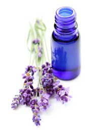 Treating Chronic Fatigue Syndrome Me Cfs Part Iii Aromatherapy Using Essential Oils By Vicki Alford Myalgic Encephalomyelitis Chronic Fatigue Syndrome Me Cfs