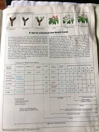 Spray tree trunks and branches phylloxera emulsion thoroughly. Generic Spray Schedule For Fruit Trees Apple Trees Michigan Sportsman Forum