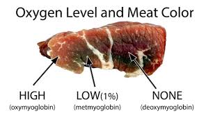Meat And Myoglobin
