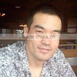 Auto rickshaw human logo brand battery 12V 70AH sealed lead acid battery