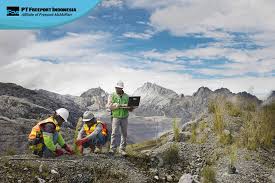 We did not find results for: Sumbangsih Dan Kontribusi Freeport Indonesia Untuk Pengembangan Kesejahteraan Masyarakat Papua Gulalilaily Com
