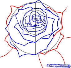 How To Draw Realistic Flowers How To Draw A Realistic Rose Draw Real Rose Step By Step Flowers Realistic Rose Roses Drawing Guided Drawing