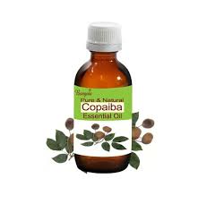 Image result for Copaifera