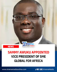 Sammi Awuku, a former National Organiser of the New Patriotic Party (NPP)  and Member of Parliament for Akuapem North Constituency in Ghana's Eastern  Region, has been appointed Vice President of Small and