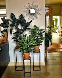 Living Room Decoration Plant Stand Decor Greenery Decoration Plants Indoor Living Room Living Room Plants Plant Stand Decor Plant Decor Indoor