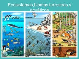 Resultado de imagen de foto biomas