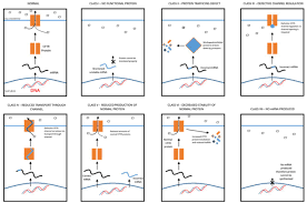 Image result for Sweat Chloride