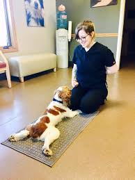 Check spelling or type a new query. Puppy Classes And Dog Training At Dakota Pet Hospital Dakota Pet Hospital Veterinarian In Lakeville Minnesota Us