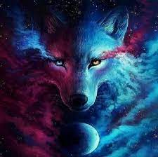 Mystical Spirit Wolf Animals Wolves Mystical Spirit Cilgin Disi Kedi Black Cat Sanat Kurklu Sanat