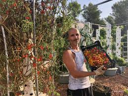 Последние твиты от tower garden (@towergarden). The Benefits Of Growing Tomatoes On A Tower Garden Green Living Magazine