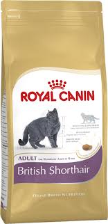 Royal Canin British Shorthair Icin Ozel Yetiskin Kedi Mamasi 10 Kg Evcil Hayvan Urunleri