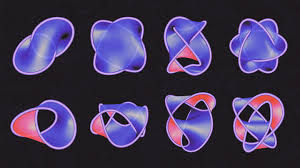 Image result for seifert surface