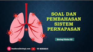 We did not find results for: Soal Ujian Ulangan Tentang Sistem Pernapasan Beserta Pembahasan Materi Biologi Kelas Xi Bsb
