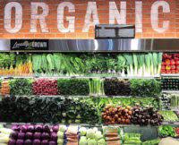 Kimberly snyder might just be hollywood's secret weapon. These Are The Products An Erewhon Manager Uses Every Day