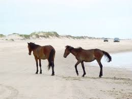 My Kind Of Beach And Off Season Is The Best Time To Enjoy It