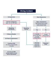 10 Incident Flow Chart Templates Pdf Free Premium