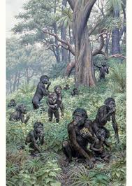 Late Pliocene And Early Pleistocene Australopithecus Africanus Is An Extinct Prehistoric Species Of Austra Evolution Humaine Prehistorique Homme Prehistorique