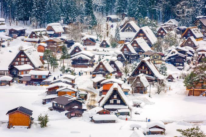 เที่ยว ชิราคาวาโกะ ช่วงไหนดี สัมผัสหมู่บ้านมรดกโลกญี่ปุ่น - Mushroom Travel