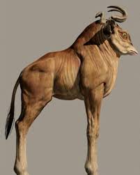 Ikopi Star Wars Animals War