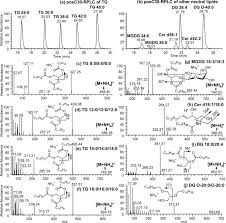 People in a global enterprise. Targeting Modified Lipids During Routine Lipidomics Analysis Using Hilic And C30 Reverse Phase Liquid Chromatography Coupled To Mass Spectrometry Scientific Reports