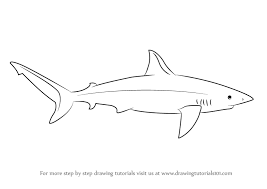Maybe you would like to learn more about one of these? Learn How To Draw A Galapagos Shark Sharks Step By Step Drawing Tutorials