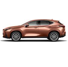 Image result for Autumn Shimmer 2017 NX