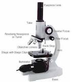 Microscope Parts & Specifications Labeled Diagram ...