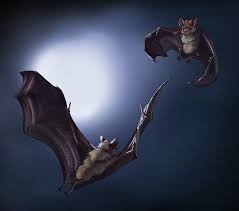 How To Draw Animals Bats Please pause the how to draw a bat video after each step to draw at your own pace. how to draw animals bats