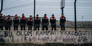 Hayvanseverlerin Toplama Kampi Dedigi Kisirkaya Barinagi Kismen Eyup E Tasinacak Diken