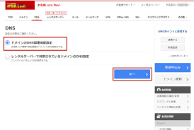 お名前 Com Dns Txtレコード設定でサーチコンソール登録 Solabo あきらめない雑記