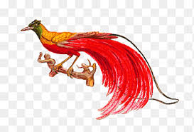 Pada pembahasan kali ini, kami akan menginformasikan tentang harga cendrawasih, cara merawat, pakan yang di sukai cendrawasih dan juga berbagai macam jenisnnya. Bird Of Paradise Burung Merah Muda Hewan Galliformes Png Pngegg
