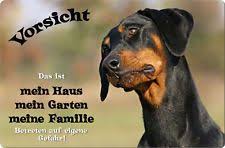 Dobermann Hund Lustige Tiere Hunde Dobermann