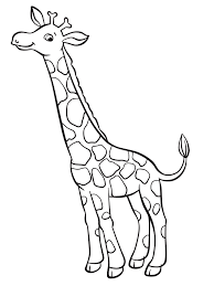 Uber Google Auf Wandtattoo De Gefunden Giraffen Zeichnen Tiere Zum Ausmalen Ausmalen