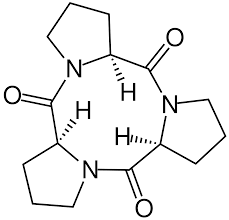 Tripeptide Wikipedia