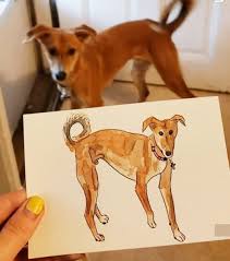 That is not to say your work is finished, but just stop and step away from it for an hour or even overnight. Custom Watercolor Pet Portraits Available Alexandria Living Magazine
