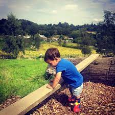 Literacy, math, printables book lists and more! Box Hill The Joy Of Five