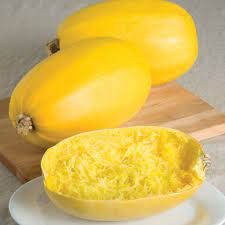 Spaghetti Squash Seeds Johnny S Selected Seeds