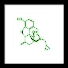 Image result for Nalmefene