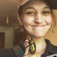 Expert reviews of Kemper Snowboards Freestyle Snowboard Bindings