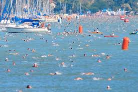 We did not find results for: Xrglr A7yqt9im