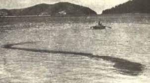 The Fuller Story Of The Hook Island Tadpole Monster Modern Cryptozoology